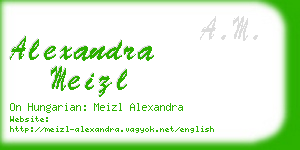 alexandra meizl business card